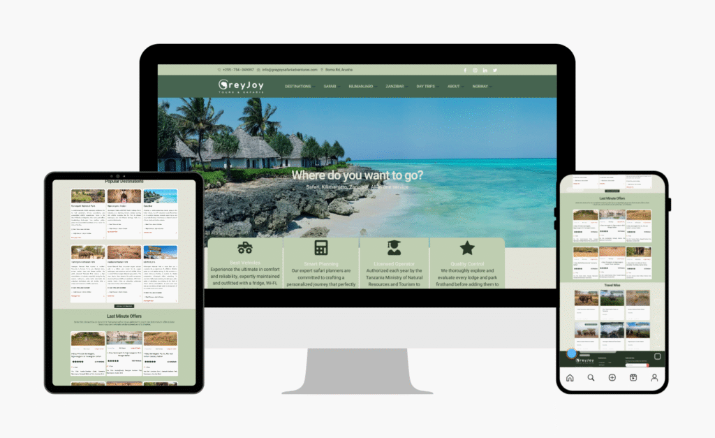 Tanzania websites