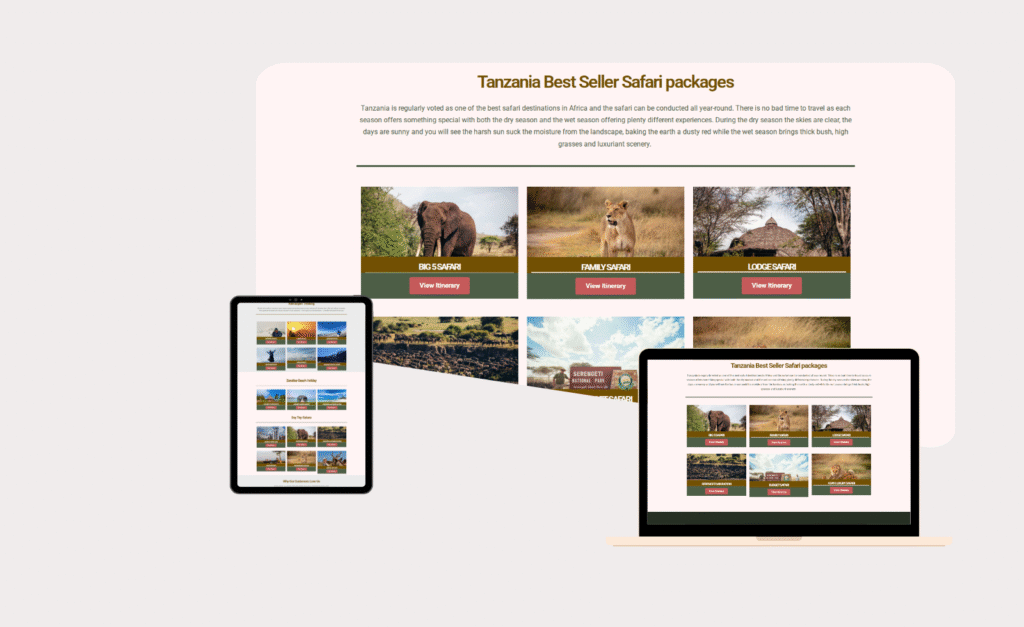Tanzania websites